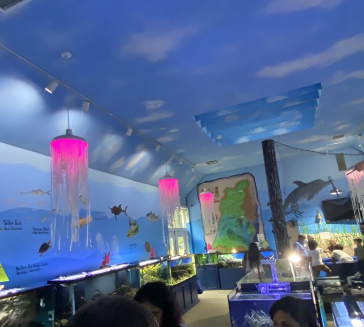 Glen Echo Park Aquarium (Glen&nbspEcho,&nbspMD)